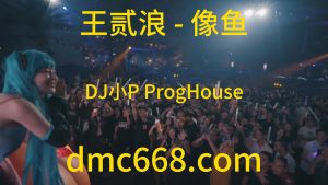 王贰浪 - 像鱼(DJ小P ProgHouse Rmx 2023)-DMC视频舞曲