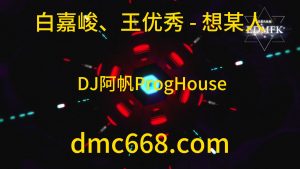 白嘉峻、王优秀 - 想某人 (合唱版) - DJ阿帆（ProgHouse 2K21弹）-DMC视频舞曲
