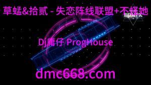 草蜢&拾贰 - 失恋阵线联盟+不怪她(Dj庸仔 ProgHouse Mix国语男)-DMC视频舞曲