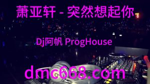 萧亚轩 - 突然想起你(Dj阿帆 ProgHouse Rmx 2023)-DMC视频舞曲
