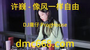 许巍 - 像风一样自由(DJ庸仔 ProgHouse Rmx 2023)-DMC视频舞曲