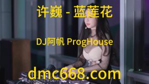 许巍 - 蓝莲花(DJ阿帆 ProgHouse Rmx 2023)-DMC视频舞曲