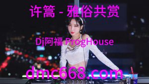 许篙 - 雅俗共赏(Dj阿福 ProgHouse Rmx 2023)-DMC视频舞曲