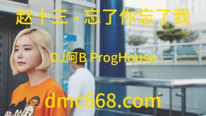 赵十三 - 忘了你忘了我(DJ阿B ProgHouse Rmx 2023)-DMC视频舞曲