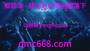 郑润泽 - 就让这大雨全都落下(Dj赫赫 ProgHouse Rmx 2023)-DMC视频舞曲