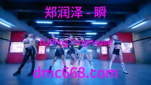 郑润泽 - 瞬(DJRling ProgHouse Rmx 2023)-DMC视频舞曲