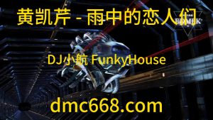 黄凯芹 - 雨中的恋人们 (南宁DJ小航 FunkyHouse Mix 2022)-DMC视频舞曲