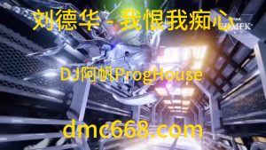 刘德华 - 我恨我痴心 (DJ阿帆ProgHouse 2K21弹）)-DMC视频舞曲