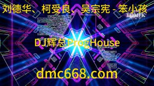 刘德华、柯受良、吴宗宪 - 笨小孩（DJ辉总 ProgHouse 2021ReMix)-DMC视频舞曲