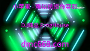 小苹果 - 难以抗拒你容颜（DJ辉总 ProgHouse ReMix)-DMC视频舞曲