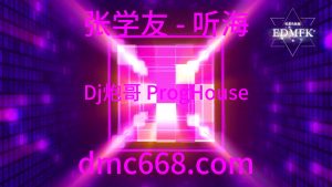 张学友 - 听海(Dj炮哥 ProgHouse Remix}-DMC视频舞曲