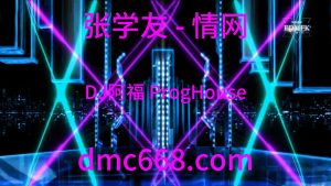 张学友 - 情网 (DJ阿福 ProgHouse Remix)演唱会版-DMC视频舞曲