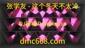 张学友 - 这个冬天不太冷（DJ阿福 ProgHouse 2021Rmx)-DMC视频舞曲