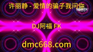 许丽静 - 爱情的骗子我问你（DJ阿福 FK)-DMC视频舞曲