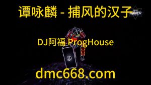 谭咏麟 - 捕风的汉子(DJ阿福 ProgHouse Mix)-DMC视频舞曲