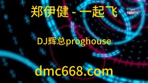 郑伊健 一起飞（DJ辉总 2022ReMix)演唱会版-DMC视频舞曲