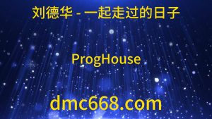 YYY一起走过的日子 【私人内部订制】 刘德华-DMC视频舞曲