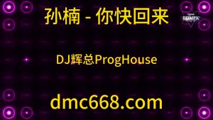 孙楠 - 你快回来（DJ辉总 ProgHouse Remix)-DMC视频舞曲