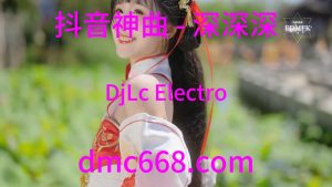 抖音神曲 深深深(DjLc Electro Mix 男)演唱会版-DMC视频舞曲