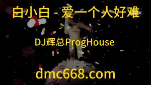 白小白 - 爱一个人好难（DJ辉总ProgHouse ReMix)-DMC视频舞曲