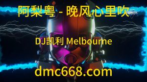 阿梨粤 晚风心里吹(DJ凯利 Melbourne Mix 女)-DMC视频舞曲