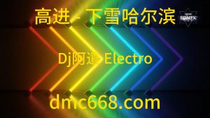 高进 下雪哈尔滨(Dj阿遣 Electro Mix 男)-DMC视频舞曲