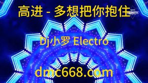 高进 多想把你抱住(Dj小罗 Electro Mix 男)-DMC视频舞曲