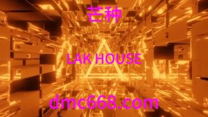 芒種 - LAK House-DMC视频舞曲