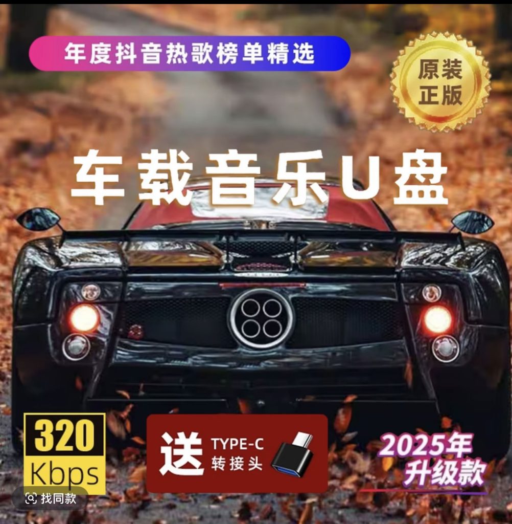 图片[2]-NO.3购买DMC舞曲网VIP会员可以无限量下载全站歌曲，免费赠送汽车U盘，永久更新，赠送高清汽车视频串烧-DMC视频舞曲