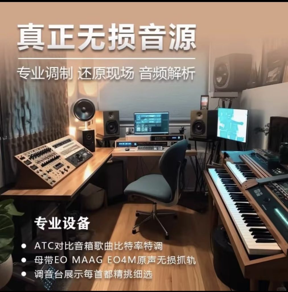 图片[3]-NO.3购买DMC舞曲网VIP会员可以无限量下载全站歌曲，免费赠送汽车U盘，永久更新，赠送高清汽车视频串烧-DMC视频舞曲